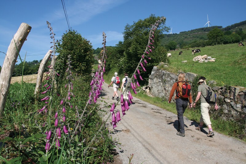 Walkers on the Camino
